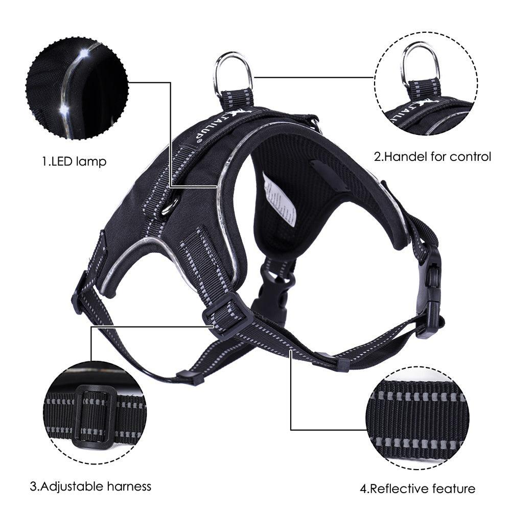 Luminous Canine Collar