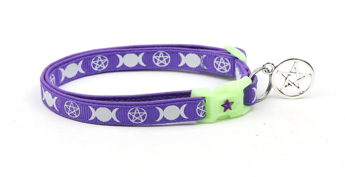 Witch's Familiar on Purple Cat Collar-4