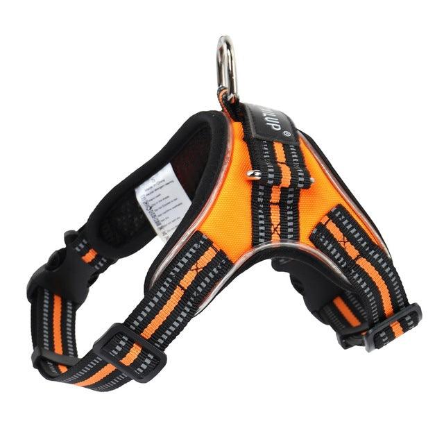 Luminous Canine Collar