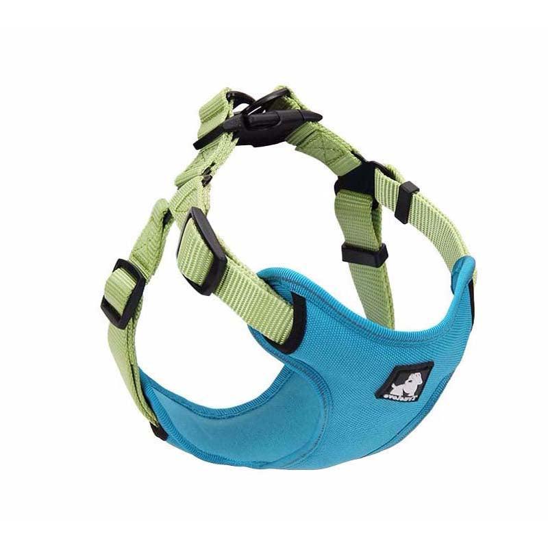 Comfortmesh Dog Leash Collar: Convenient And Stylish Walking Companion For Dogs Of All Sizes