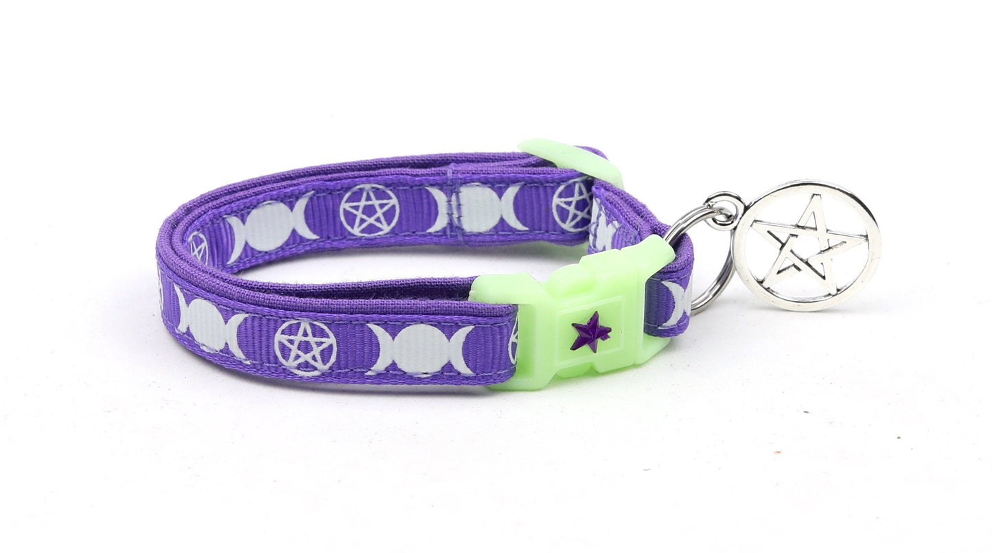 Witch's Familiar on Purple Cat Collar-1